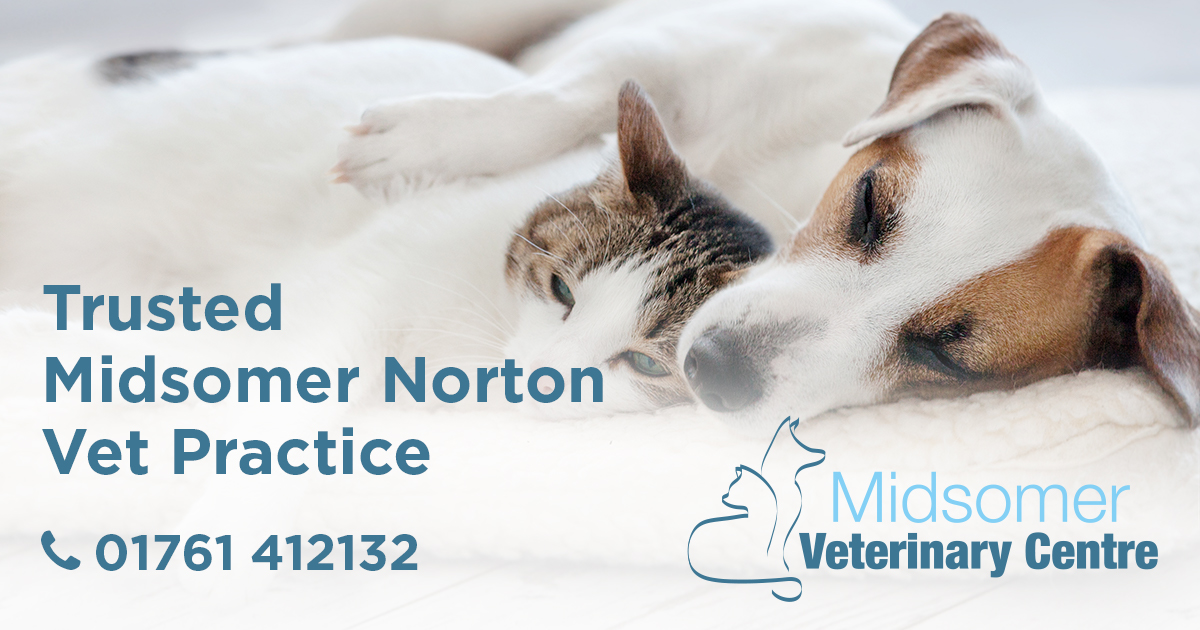 A friendly caring vet practice in Midsomer Norton Midsomer Vets