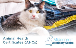 Animal Health Certificates (AHCs): Pet Owner's Guide to Taking Your Pet Abroad